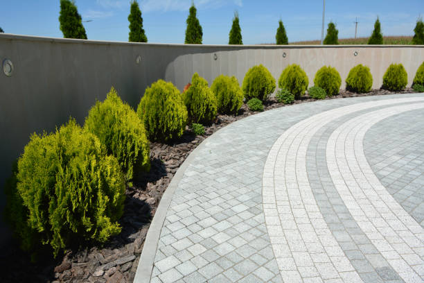 Reasons to Select Us for Your Driveway Paving Requirements in Lake California, CA